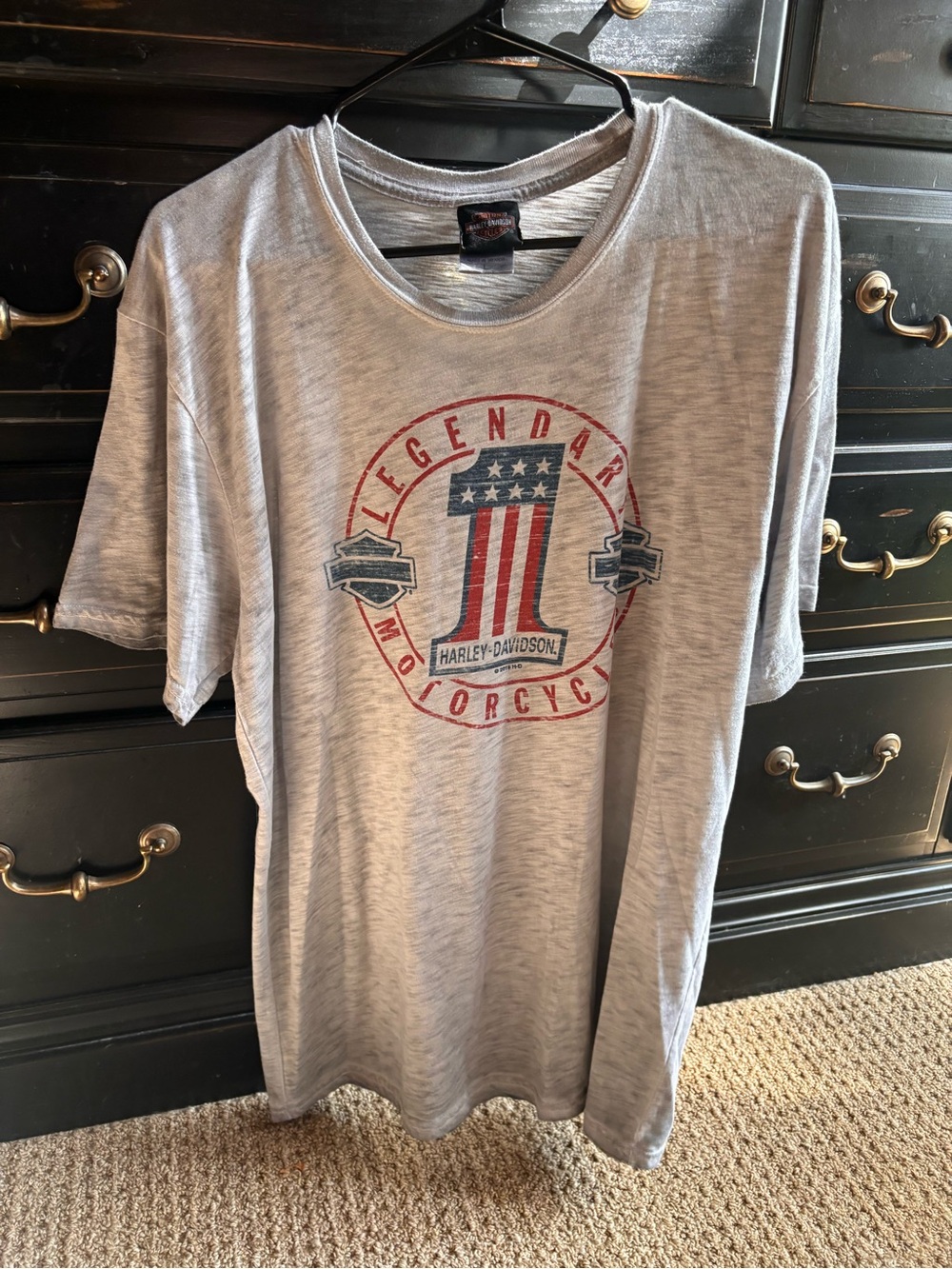 Harley-Davidson Gray Short Sleeve Graphic Tee with Red, Blue Accents